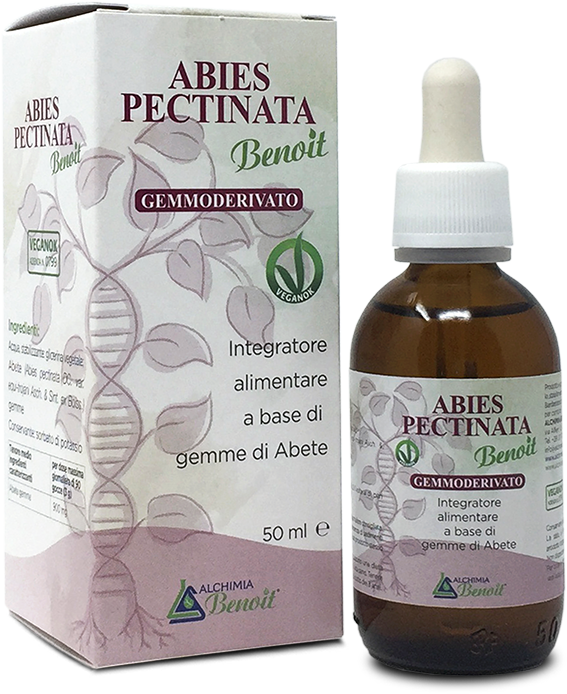 alchimiabenoit-simplex_gemmoderivati_AbiesPectinata_img2