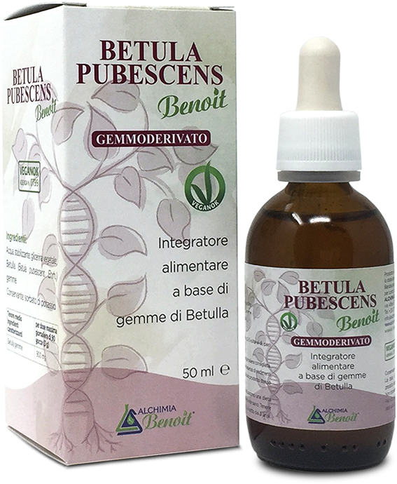 alchimiabenoit-simplex_gemmoderivati_BetulaPubescens_img2