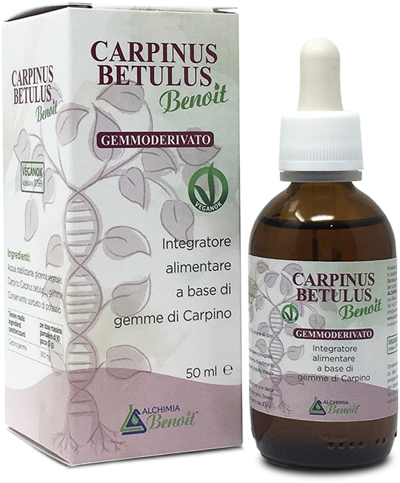 alchimiabenoit-simplex_gemmoderivati_CarpinusBetulus_img2